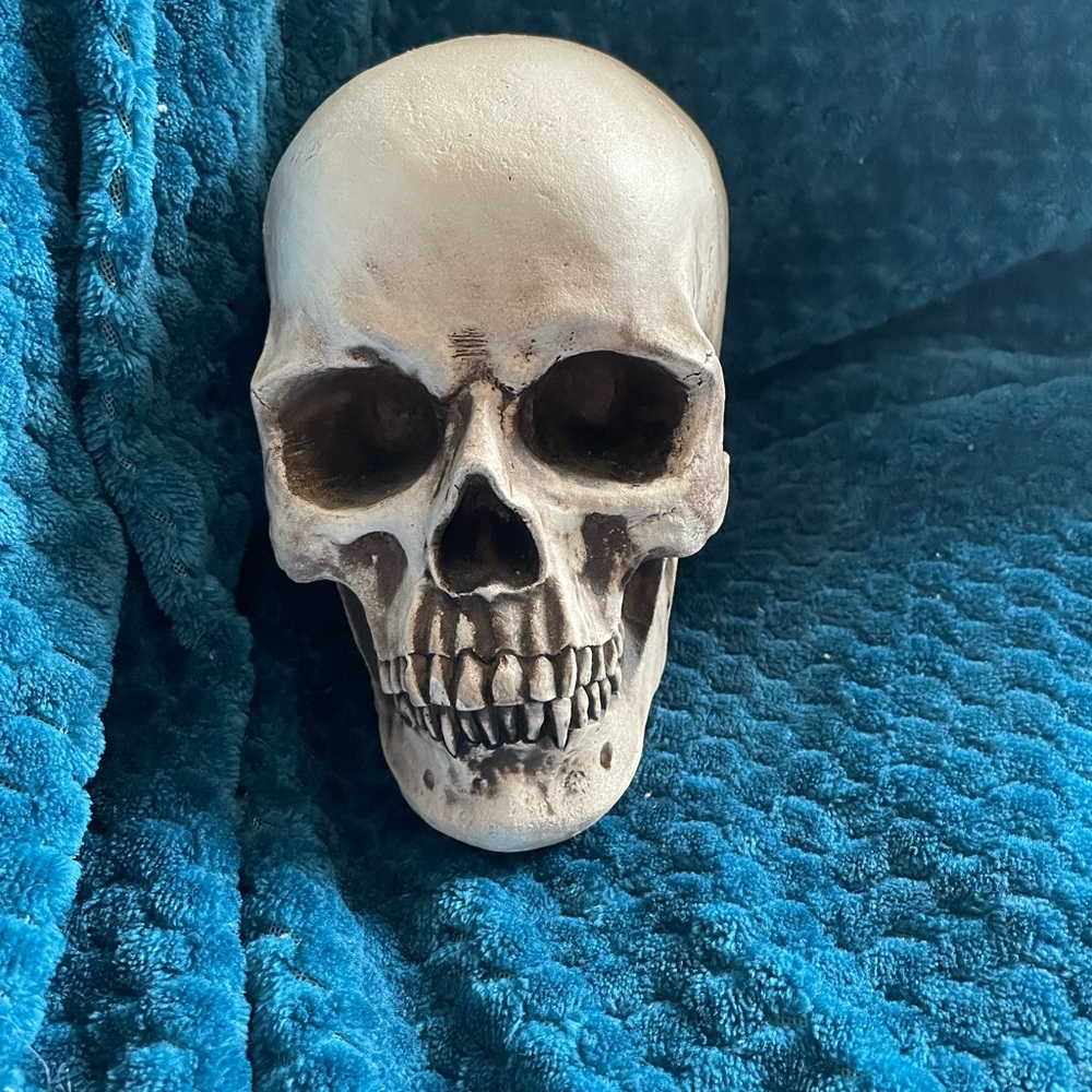 Skull